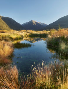 Waimakariri Valley, Arthur's Pass Nationalpark, Canterbury, Südinsel, Neuseeland, Ozeanien Waimakariri Valley, Arthur's Pass Nationalpark, Canterbury, Südinsel, Neuseeland, Ozeanien